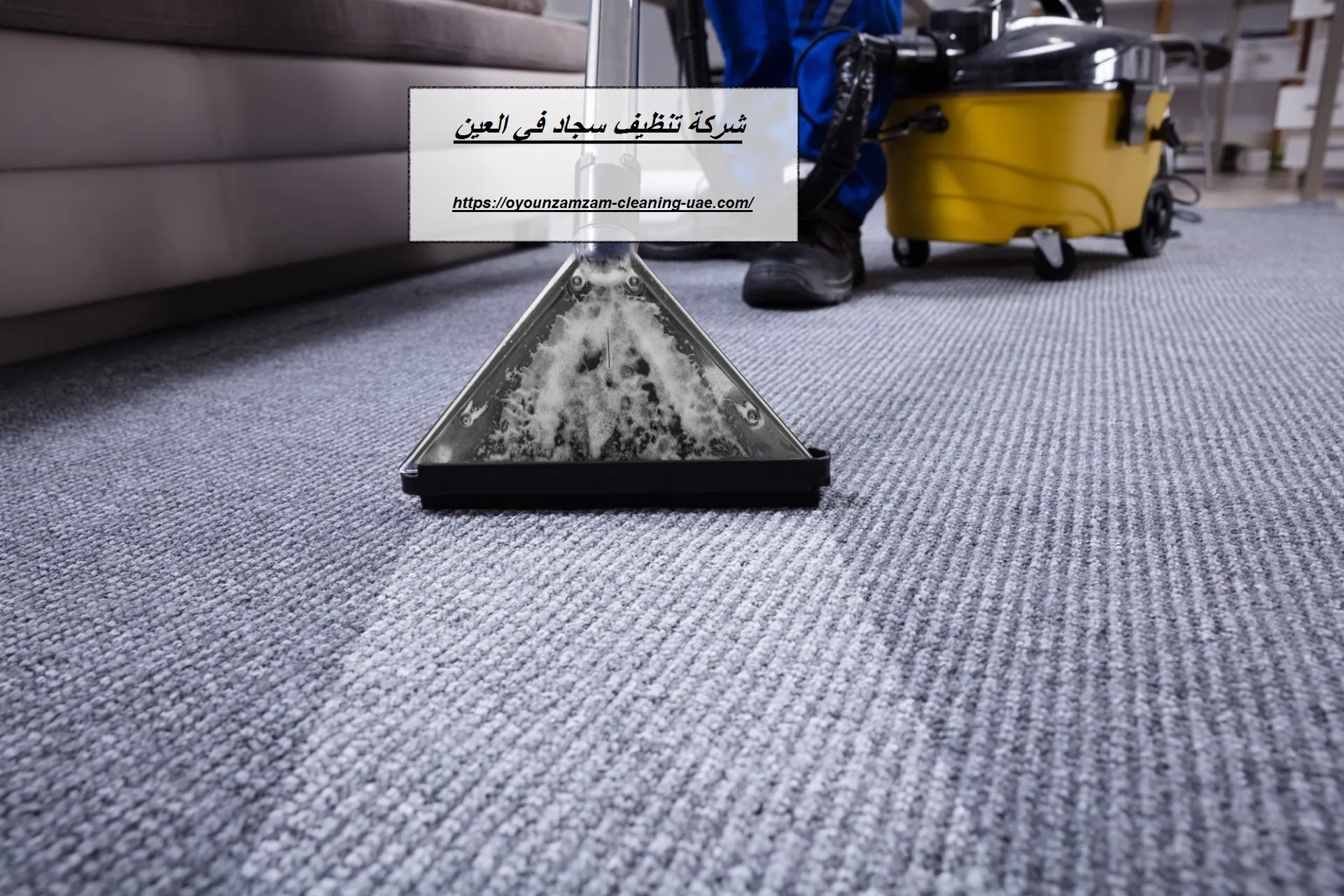 شركة تنظيف سجاد في العين