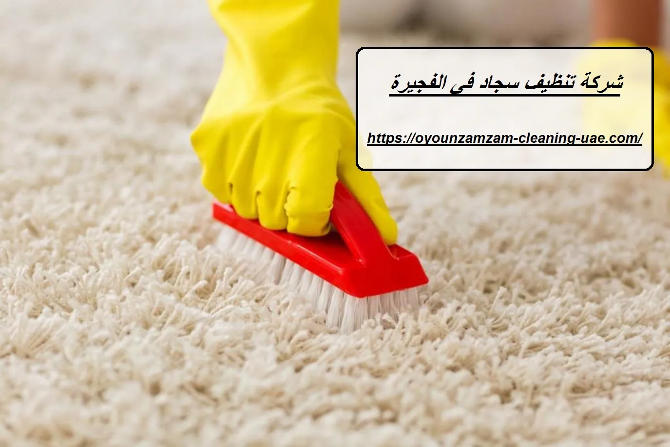 شركة تنظيف سجاد في الفجيرة |0528935235| افضل الاسعار — شركة عيون زمزم