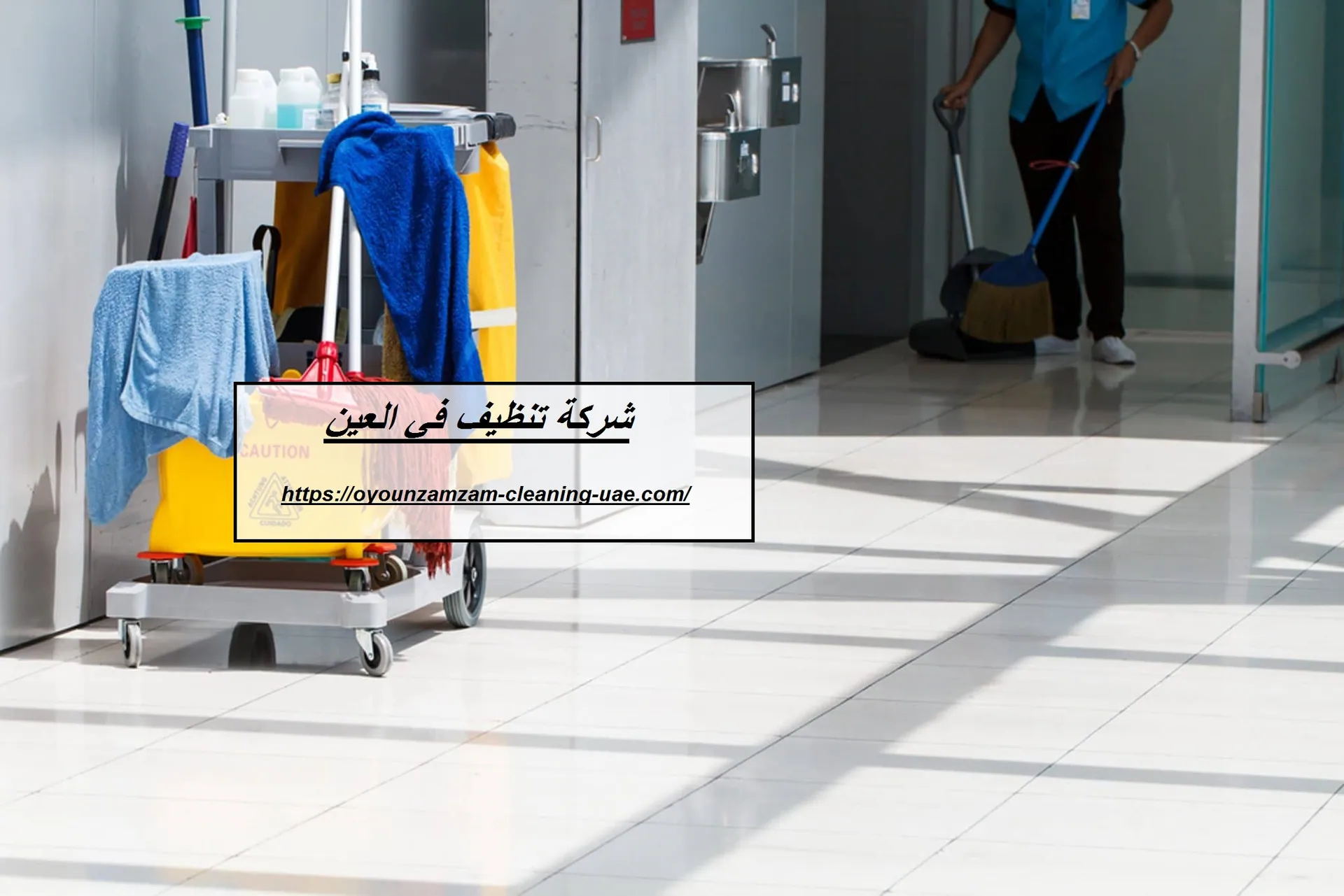 شركة تنظيف في العين
