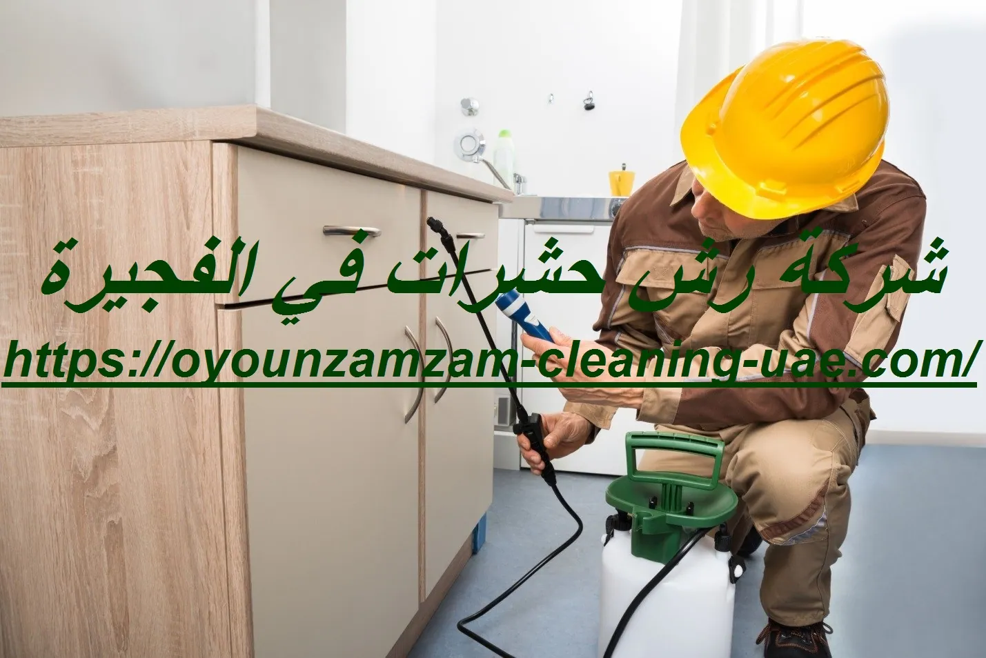 شركة رش حشرات في الفجيرة