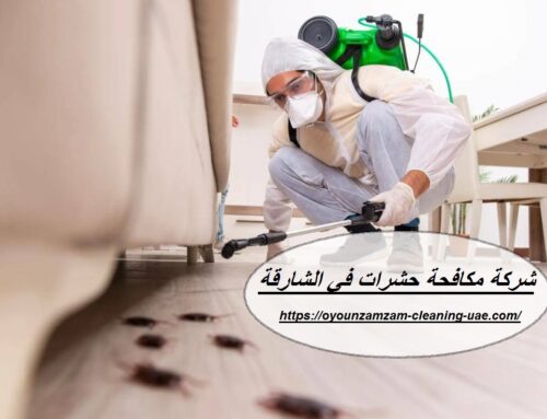 شركة مكافحة حشرات في الشارقة |528935235| رش حشرات