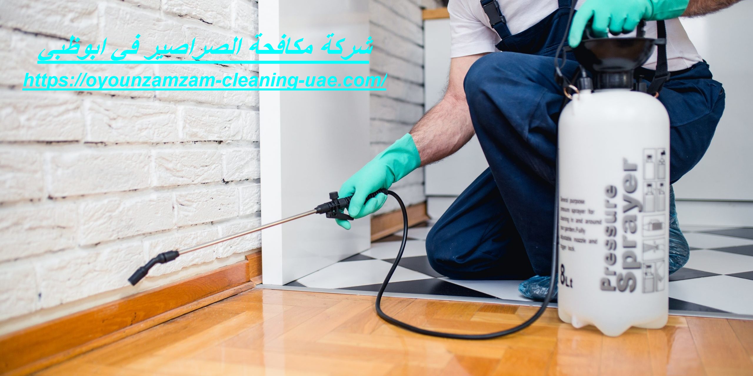 شركة مكافحة الصراصير في ابوظبي