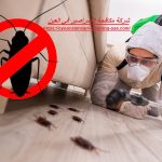 شركة مكافحة الصراصير في العين