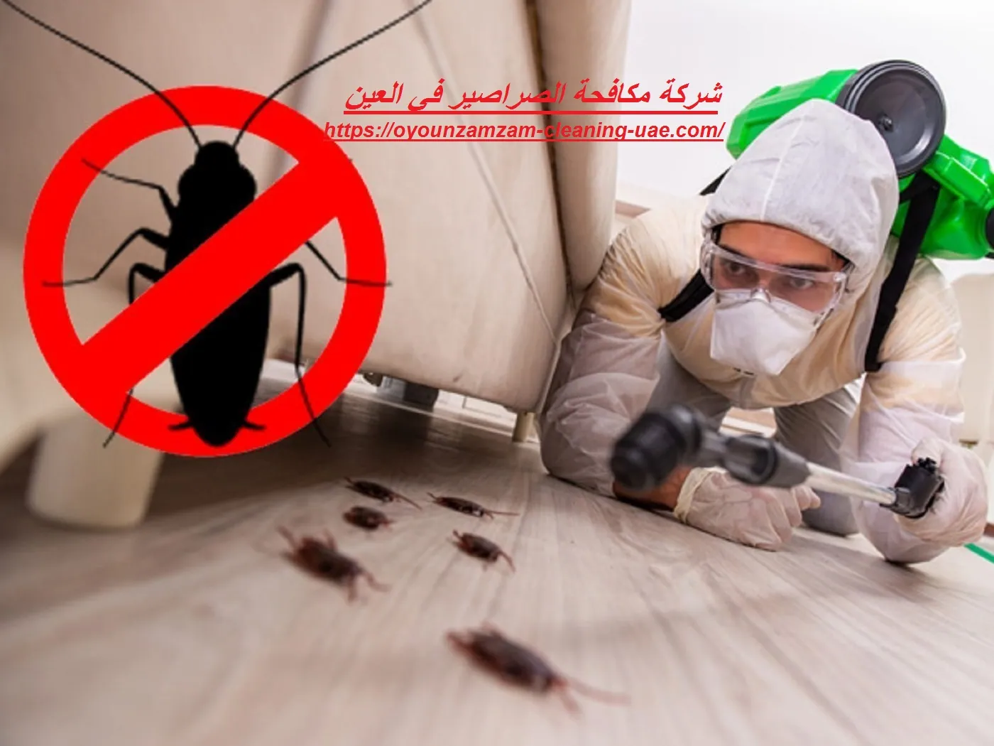 شركة مكافحة الصراصير في العين