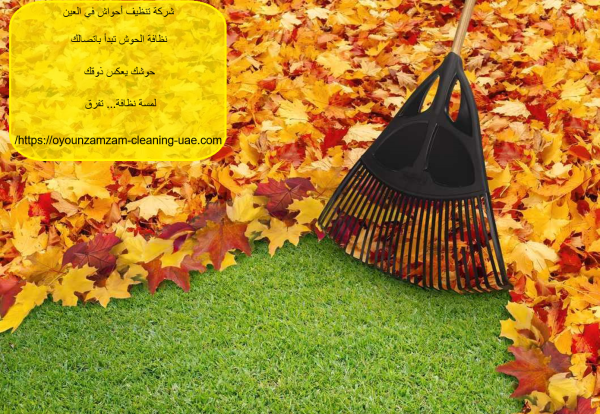 شركة تنظيف أحواش في العين