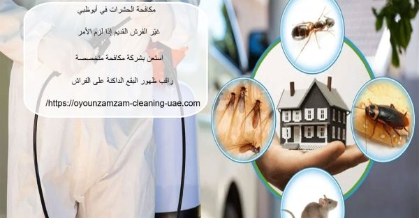 مكافحة الحشرات في أبوظبي