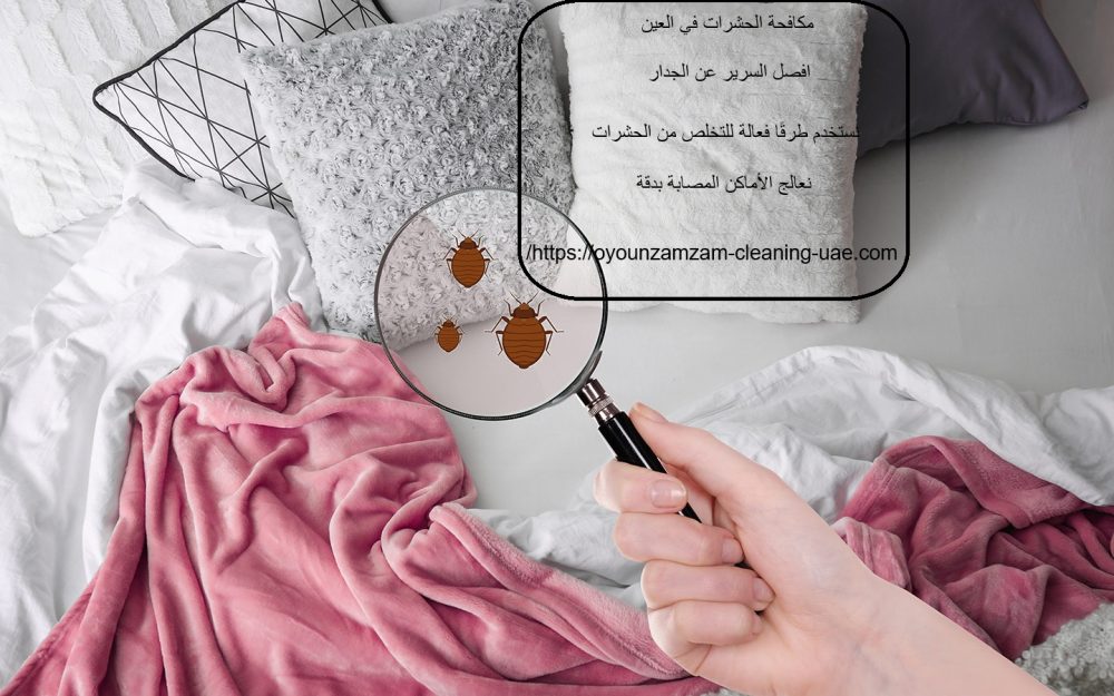 مكافحة الحشرات في العين