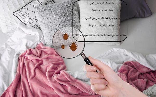 مكافحة الحشرات في العين