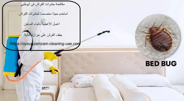 مكافحة حشرات الفراش في أبوظبي